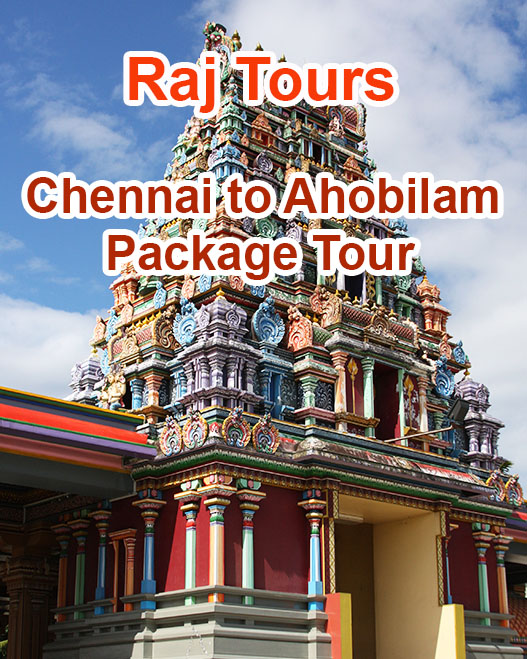 tirupati balaji darshan one day package tour from chennai